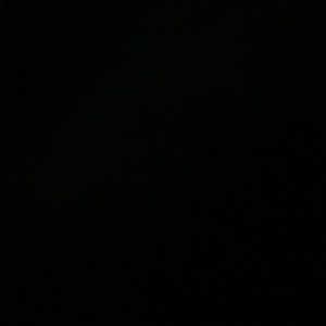 Meet your Posher, Rocky